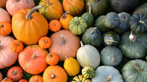 Theme: Pumpkins!
