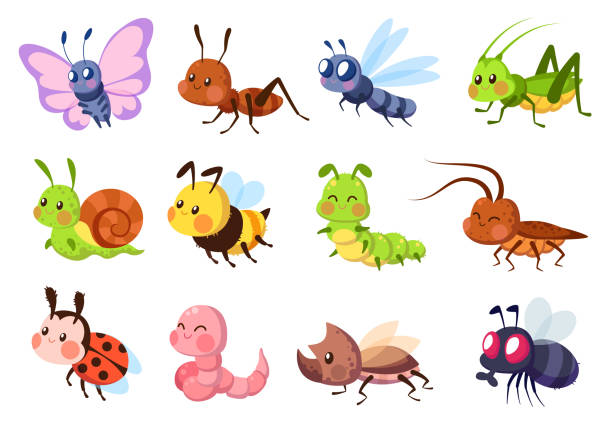 Theme Butterflies and Insects!
